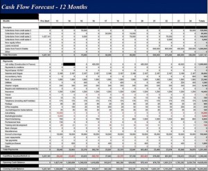 Cash Flow Statement